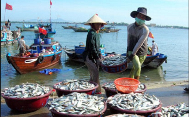 bảo hiểm thủy sản