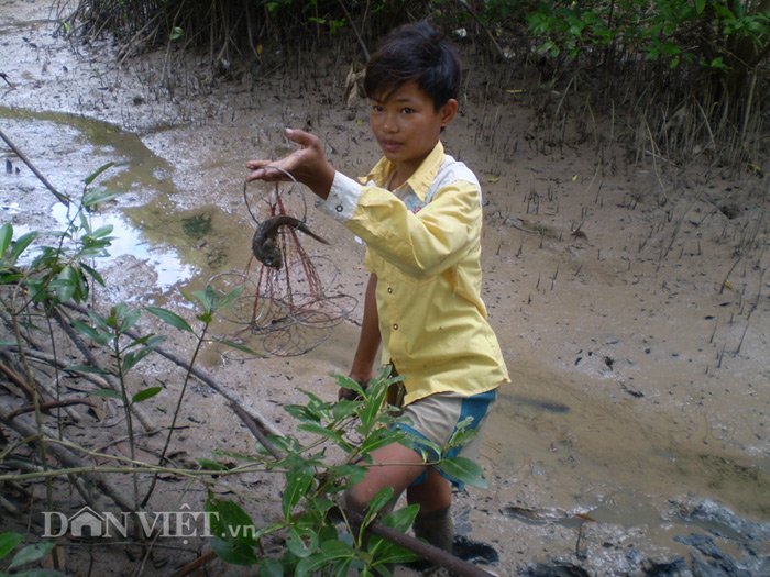 bắt thòi lòi