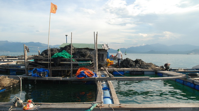 bè cá trung quốc