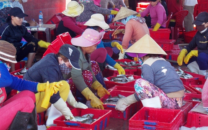 bến cảng Sa Kỳ