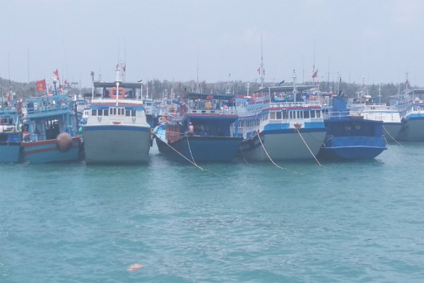 cảng cá