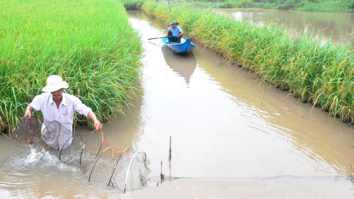 Biến đổi khí hậu và nuôi trồng thủy sản