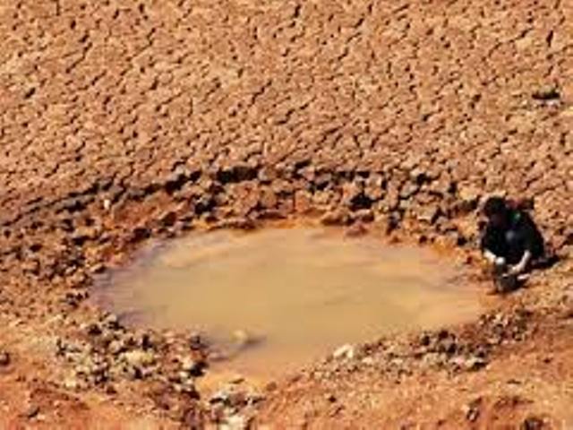 Biến đổi khí hậu