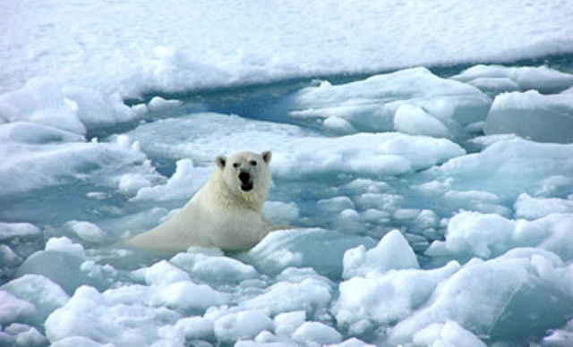 Biến đổi khí hậu