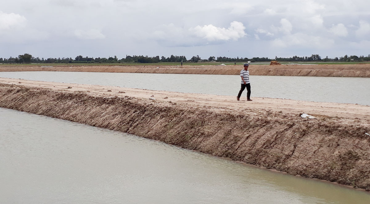 Tân Hưng: Nông dân bỏ lúa, đào ao nuôi cá