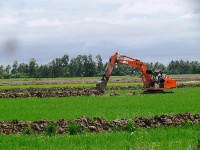 Bỏ lúa nuôi tôm