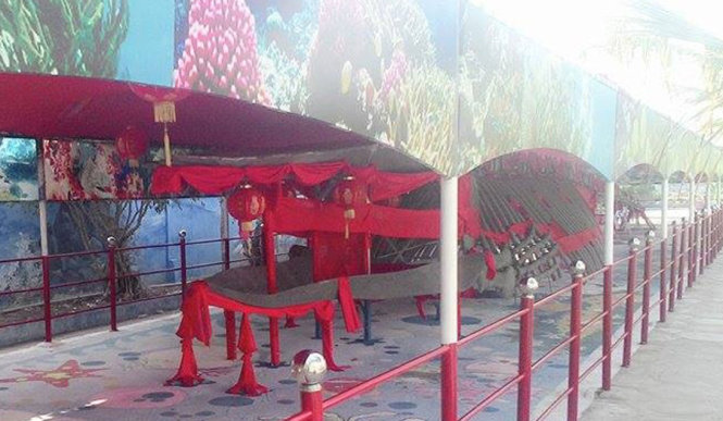 bộ xương cá voi