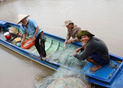 đánh bắt cá