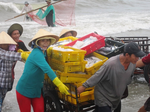 bội thu mùa biển