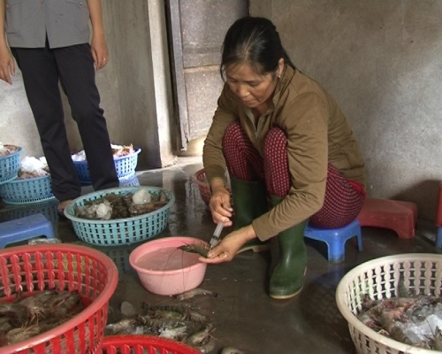 bơm tạp chất lạ vào tôm