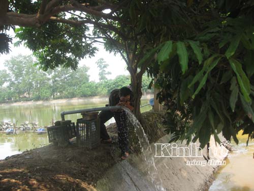 bơm nước vào ao