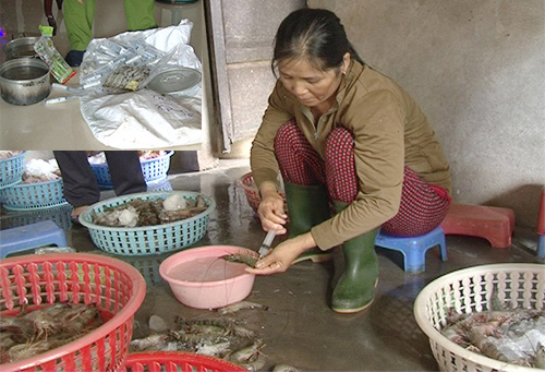 Tôm tạp chất - căn bệnh trị hoài chưa dứt