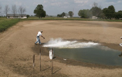 dung voi khu trung mam benh