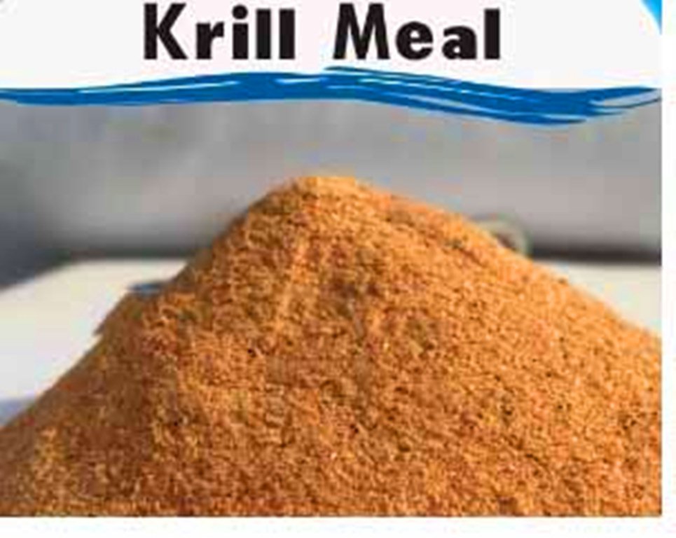 Phụ gia trong thức ăn tôm