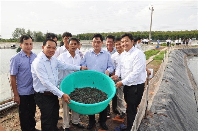 Mô hình nuôi tôm