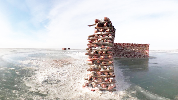 Chiêm ngưỡng bức tường'thần thánh' xây từ 2000 con cá giữa hồ băng