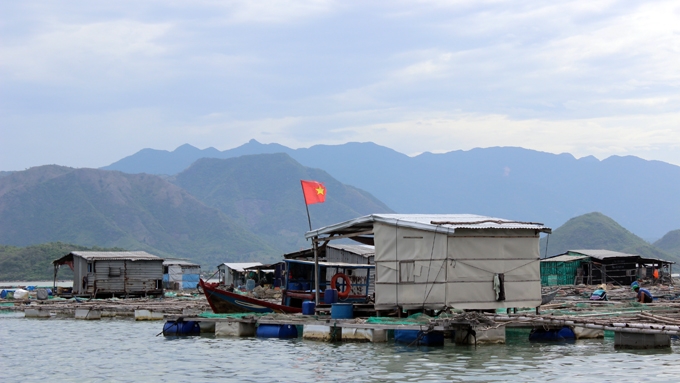 Hồi sinh các làng cá bè Khánh Hòa