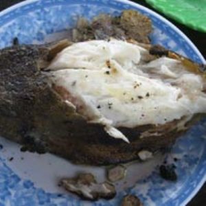 cá bò hòm, gà nước mặn