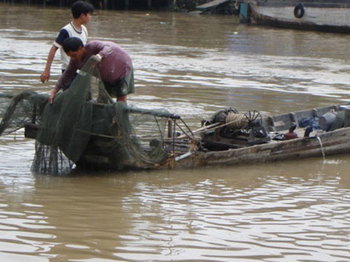 cá cắn trẻ em tắm