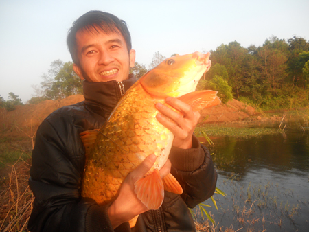 Cá chép, cá vàng bán tại chợ Gia Ngư với giá từ 30.000-50.000 đồng/con.