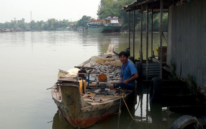 ca chet song cai vung