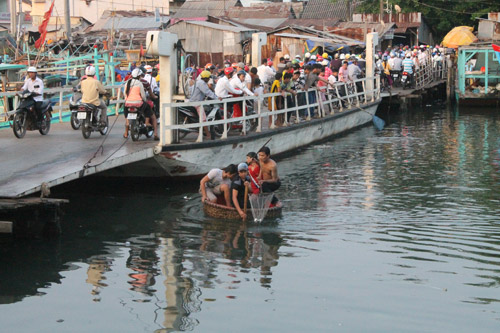 cá chết trên sông