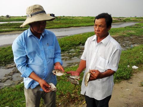 cá chết trắng ao, cá chết, nguyên nhân cá chết