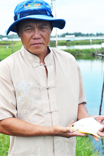 cá chim biển vây vàng