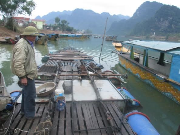 Cá chình sông Son