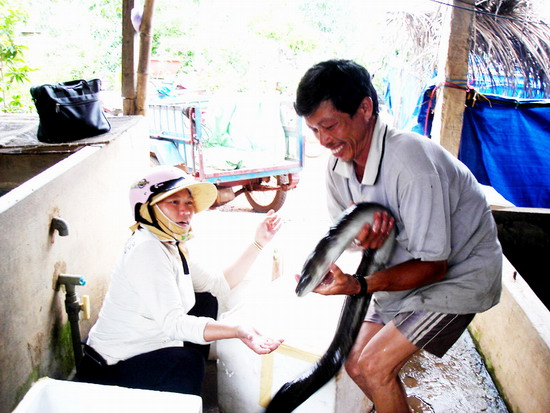 Ông Tú xuất bán chình cho khách hàng.