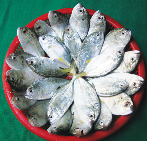 cá dẻo