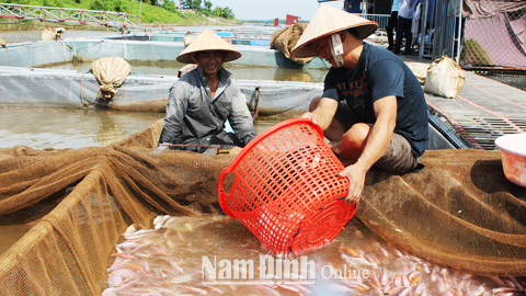 nuôi trồng thủy sản