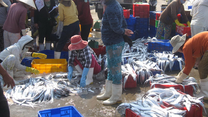 cá hố, Phổ Thạnh