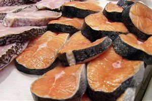 cá hồi biến đôi gen