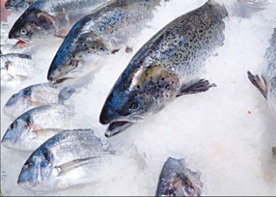 Nhật Bản, doanh nghiệp, kinh doanh, cá hồi đông lạnh