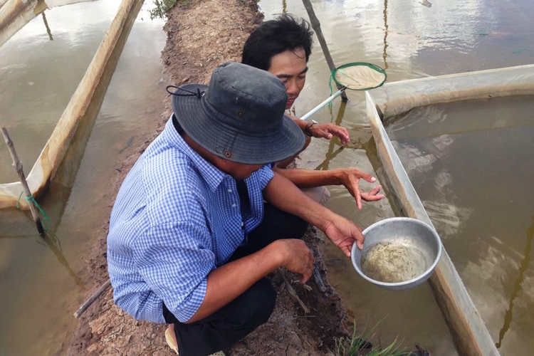 Giá bán một số loài thủy sản