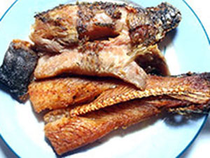 cá khô một nắng