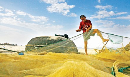 Theo chân ngư dân bắt cá khoai trên biển