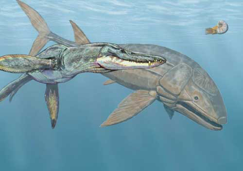 Cá Leedsichthys