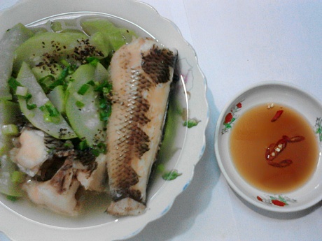 cá lóc hấp bầu