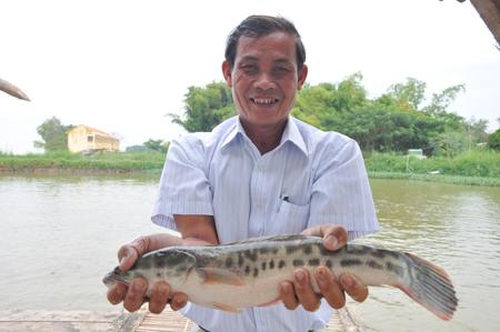 ca loc nuoi an giang