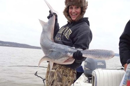 cá mái chèo, câu cá mái chèo