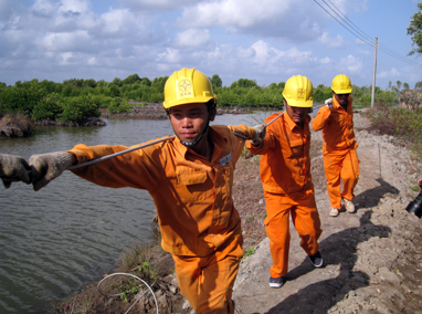 Cà mau phát triển lưới điện cho tôm