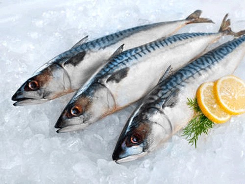 Cá mòi có thể giúp ngăn ngừa đột quị - Ảnh Science Daily