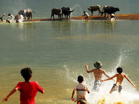 cá ngạnh sông quê