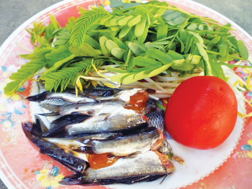 Nguyên liệu để nấu canh chua cá ngạnh - Ảnh: Ngô Mã Thiên