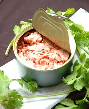 cá ngừ hộp