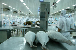 giá cá ngừ giảm