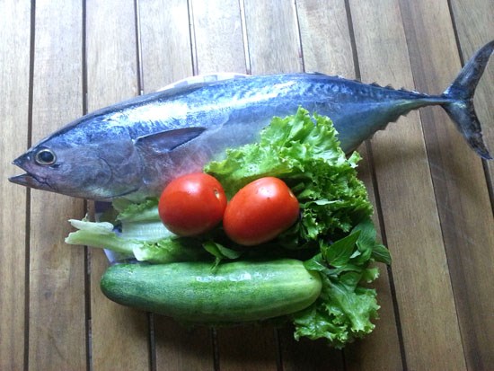 cá ngừ