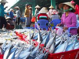 tăng kim ngạch xuất khẩu cá ngừ